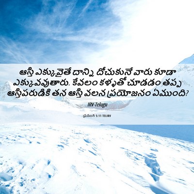 Picture 06 - ప్రసంగి 5:11 TELIRV - ఆస్తి ఎక్కువైతే - Bible Verse Picture