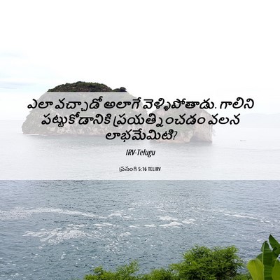 Picture 06 - ప్రసంగి 5:16 TELIRV - ఎలా వచ్చాడో అలాగే - Bible Verse Picture