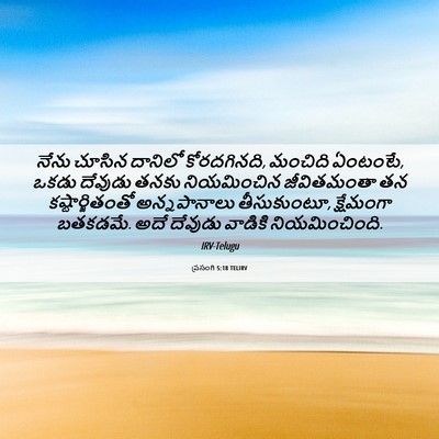 Picture 06 - ప్రసంగి 5:18 TELIRV - నేను చూసిన దానిలో - Bible Verse Picture