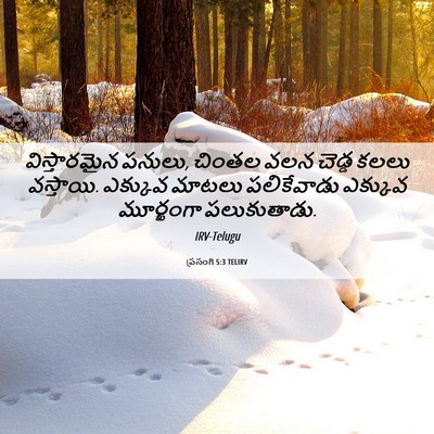Picture 06 - ప్రసంగి 5:3 TELIRV - విస్తారమైన పనులు, - Bible Verse Picture