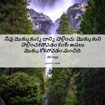 Picture 06 - ప్రసంగి 5:5 TELIRV - నీవు మొక్కుకున్న - Bible Verse Picture