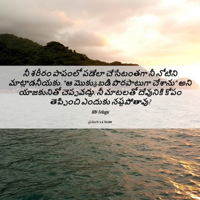 Picture 06 - ప్రసంగి 5:6 TELIRV - నీ శరీరం పాపంలో - Bible Verse Picture