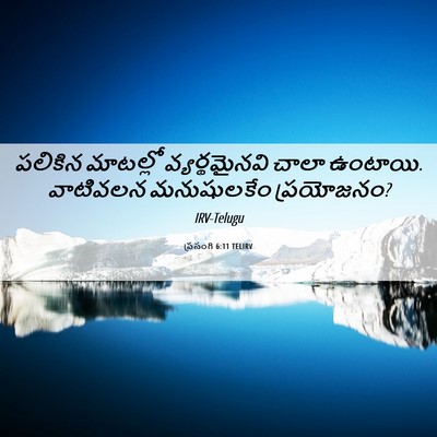 Picture 06 - ప్రసంగి 6:11 TELIRV - పలికిన మాటల్లో - Bible Verse Picture