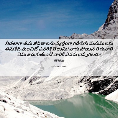 Picture 06 - ప్రసంగి 6:12 TELIRV - నీడలాగా తమ - Bible Verse Picture