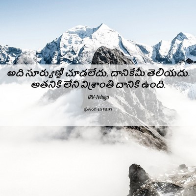Picture 06 - ప్రసంగి 6:5 TELIRV - అది సూర్యుణ్ణి - Bible Verse Picture