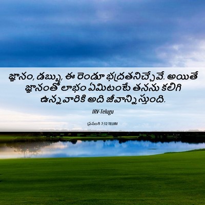 Picture 06 - ప్రసంగి 7:12 TELIRV - జ్ఞానం, డబ్బు, ఈ - Bible Verse Picture