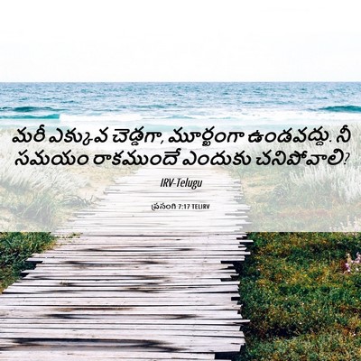 Picture 06 - ప్రసంగి 7:17 TELIRV - మరీ ఎక్కువ - Bible Verse Picture