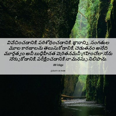 Picture 06 - ప్రసంగి 7:25 TELIRV - వివేచించడానికి, - Bible Verse Picture