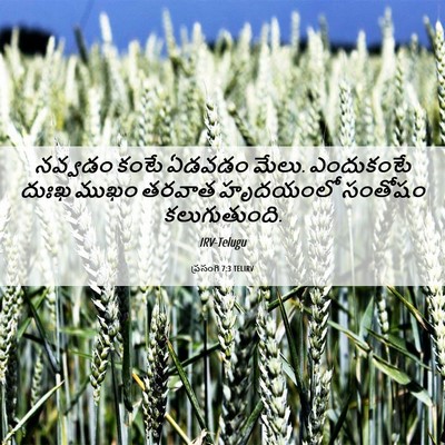 Picture 06 - ప్రసంగి 7:3 TELIRV - నవ్వడం కంటే ఏడవడం - Bible Verse Picture