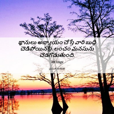 Picture 06 - ప్రసంగి 7:7 TELIRV - జ్ఞానులు అన్యాయం - Bible Verse Picture