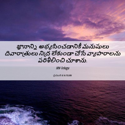 Picture 06 - ప్రసంగి 8:16 TELIRV - జ్ఞానాన్ని - Bible Verse Picture