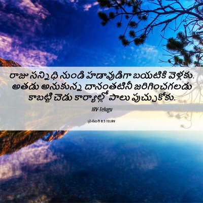 Picture 06 - ప్రసంగి 8:3 TELIRV - రాజు సన్నిధి - Bible Verse Picture