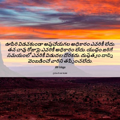 Picture 06 - ప్రసంగి 8:8 TELIRV - ఊపిరి విడవకుండా - Bible Verse Picture