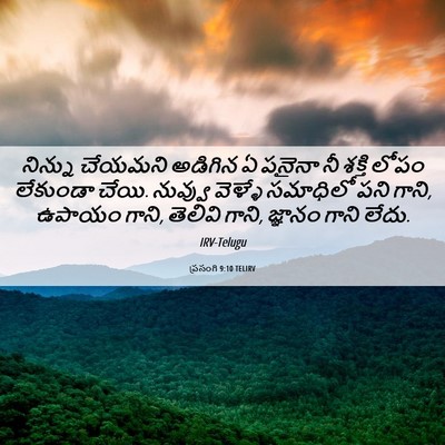 Picture 06 - ప్రసంగి 9:10 TELIRV - నిన్ను చేయమని - Bible Verse Picture