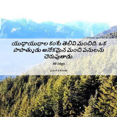 Picture 06 - ప్రసంగి 9:18 TELIRV - యుద్ధాయుధాల కంటే - Bible Verse Picture