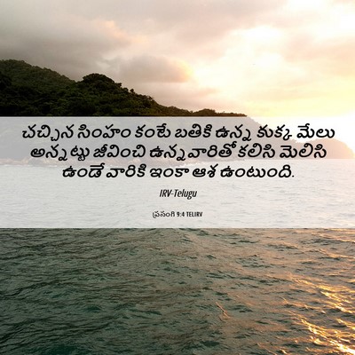 Picture 06 - ప్రసంగి 9:4 TELIRV - చచ్చిన సింహం కంటే - Bible Verse Picture