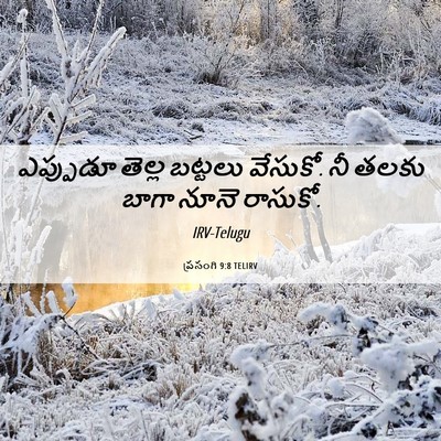 Picture 06 - ప్రసంగి 9:8 TELIRV - ఎప్పుడూ తెల్ల - Bible Verse Picture