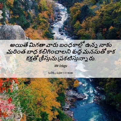 Picture 06 - ఫిలిప్పీ పత్రిక 1:17 TELIRV - అయితే మిగతా వారు - Bible Verse Picture