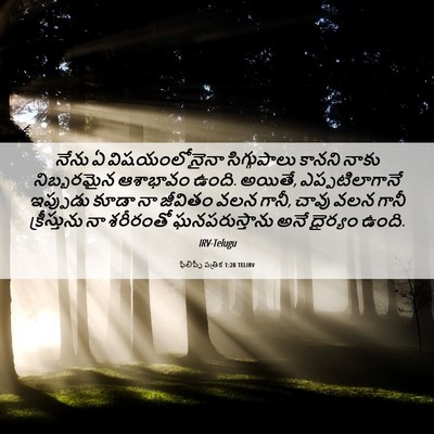 Picture 06 - ఫిలిప్పీ పత్రిక 1:20 TELIRV - నేను ఏ - Bible Verse Picture