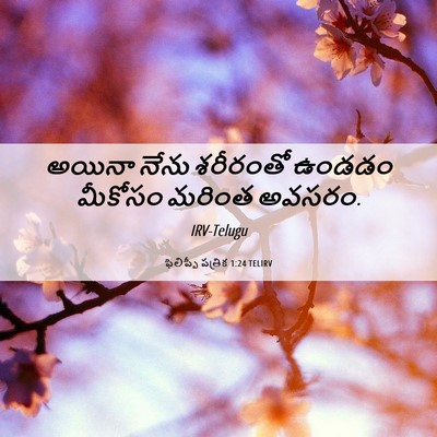 Picture 06 - ఫిలిప్పీ పత్రిక 1:24 TELIRV - అయినా నేను - Bible Verse Picture