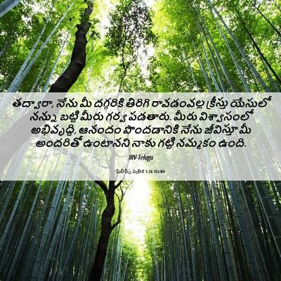 Picture 06 - ఫిలిప్పీ పత్రిక 1:26 TELIRV - తద్వారా, నేను మీ - Bible Verse Picture
