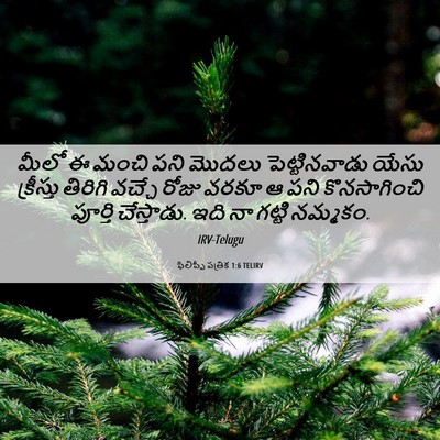 Picture 06 - ఫిలిప్పీ పత్రిక 1:6 TELIRV - మీలో ఈ మంచి పని - Bible Verse Picture