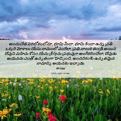 Picture 06 - ఫిలిప్పీ పత్రిక 2:10 TELIRV - అందుచేత - Bible Verse Picture