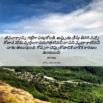 Picture 06 - ఫిలిప్పీ పత్రిక 2:16 TELIRV - జీవవాక్యాన్ని - Bible Verse Picture