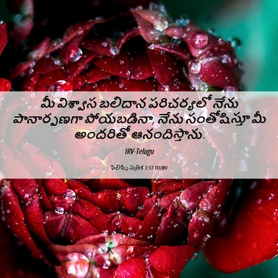 Picture 06 - ఫిలిప్పీ పత్రిక 2:17 TELIRV - మీ విశ్వాస బలిదాన - Bible Verse Picture