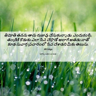 Picture 06 - ఫిలిప్పీ పత్రిక 2:22 TELIRV - తిమోతి తనను తాను - Bible Verse Picture