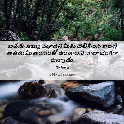 Picture 06 - ఫిలిప్పీ పత్రిక 2:26 TELIRV - అతడు జబ్బు - Bible Verse Picture
