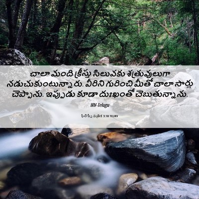 Picture 06 - ఫిలిప్పీ పత్రిక 3:18 TELIRV - చాలా మంది - Bible Verse Picture