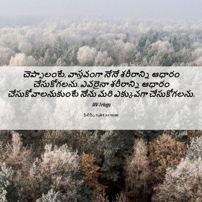 Picture 06 - ఫిలిప్పీ పత్రిక 3:4 TELIRV - చెప్పాలంటే, - Bible Verse Picture
