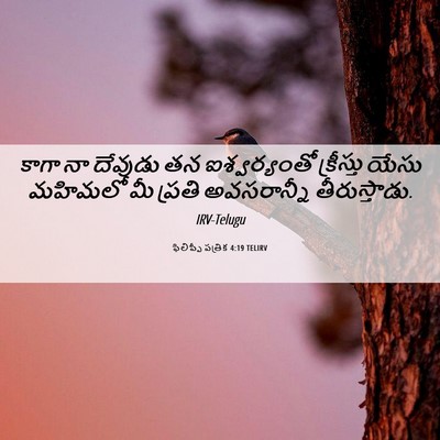 Picture 06 - ఫిలిప్పీ పత్రిక 4:19 TELIRV - కాగా నా దేవుడు తన - Bible Verse Picture
