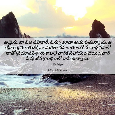 Picture 06 - ఫిలిప్పీ పత్రిక 4:3 TELIRV - అవును, నా నిజ - Bible Verse Picture