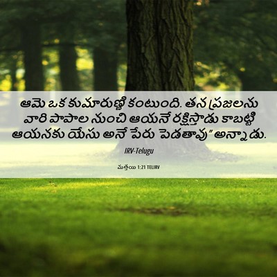 Picture 06 - మత్తయి 1:21 TELIRV - ఆమె ఒక కుమారుణ్ణి - Bible Verse Picture