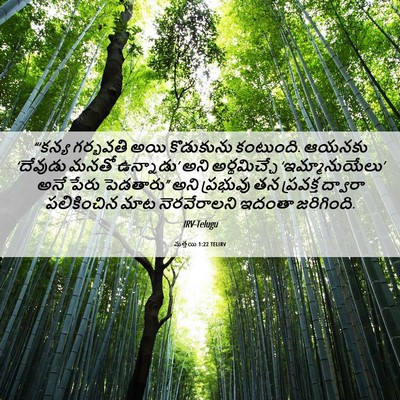 Picture 06 - మత్తయి 1:22 TELIRV - “‘కన్య గర్భవతి - Bible Verse Picture