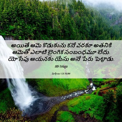 Picture 06 - మత్తయి 1:25 TELIRV - అయితే ఆమె - Bible Verse Picture