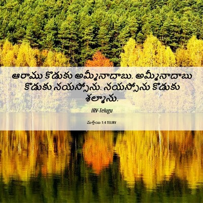 Picture 06 - మత్తయి 1:4 TELIRV - ఆరాము కొడుకు - Bible Verse Picture