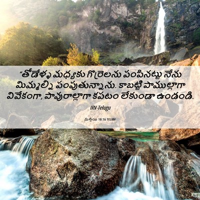 Picture 06 - మత్తయి 10:16 TELIRV - “తోడేళ్ళ మధ్యకు - Bible Verse Picture
