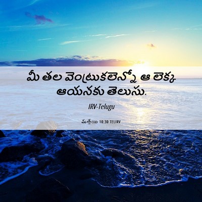 Picture 06 - మత్తయి 10:30 TELIRV - మీ తల - Bible Verse Picture