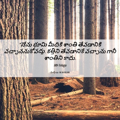 Picture 06 - మత్తయి 10:34 TELIRV - “నేను భూమి మీదికి - Bible Verse Picture