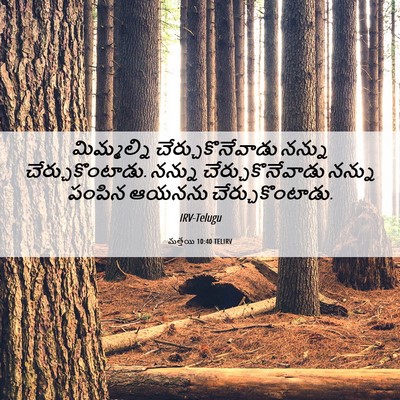 Picture 06 - మత్తయి 10:40 TELIRV - మిమ్మల్ని - Bible Verse Picture