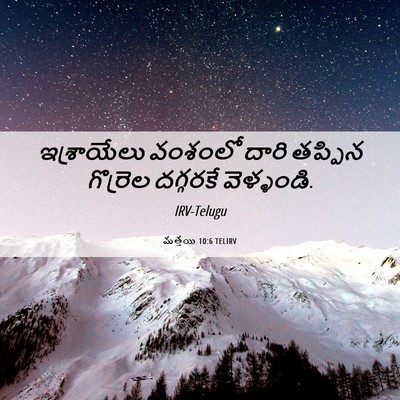 Picture 06 - మత్తయి 10:6 TELIRV - ఇశ్రాయేలు వంశంలో - Bible Verse Picture