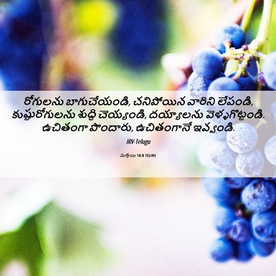 Picture 06 - మత్తయి 10:8 TELIRV - రోగులను - Bible Verse Picture
