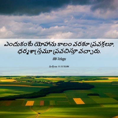 Picture 06 - మత్తయి 11:13 TELIRV - ఎందుకంటే యోహాను - Bible Verse Picture