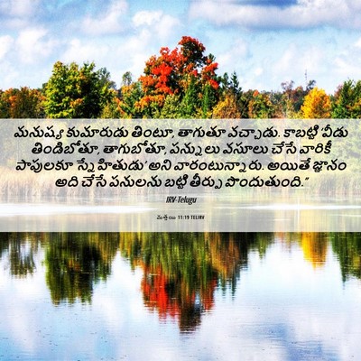 Picture 06 - మత్తయి 11:19 TELIRV - మనుష్య కుమారుడు - Bible Verse Picture