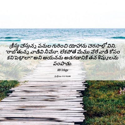 Picture 06 - మత్తయి 11:3 TELIRV - క్రీస్తు - Bible Verse Picture