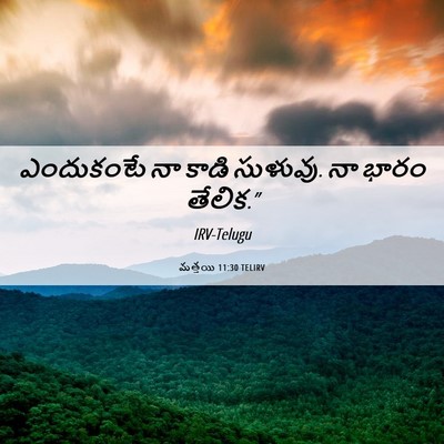 Picture 06 - మత్తయి 11:30 TELIRV - ఎందుకంటే నా కాడి - Bible Verse Picture