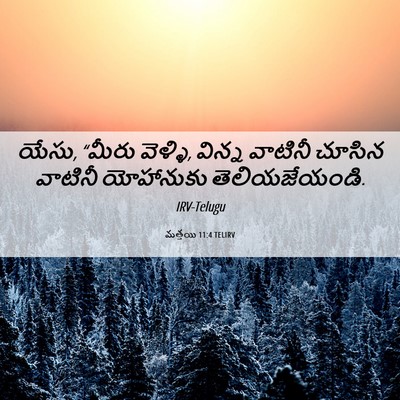 Picture 06 - మత్తయి 11:4 TELIRV - యేసు, “మీరు వెళ్ళి, - Bible Verse Picture